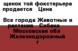 щенок той-фокстерьера продается › Цена ­ 25 000 - Все города Животные и растения » Собаки   . Московская обл.,Железнодорожный г.